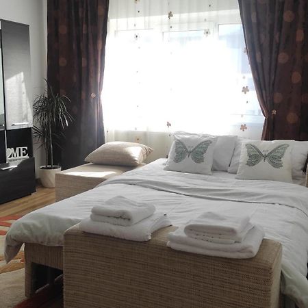 Noua Apartment 브라쇼브 외부 사진