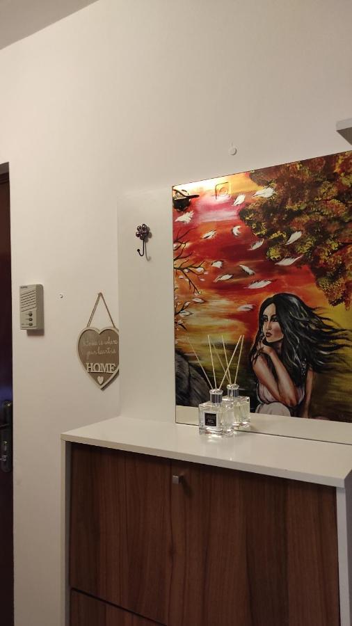 Noua Apartment 브라쇼브 외부 사진